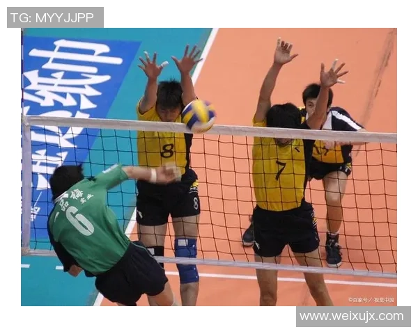 杭州排球队展现卓越团队协作实力荣获全国排球团队协作排名新高